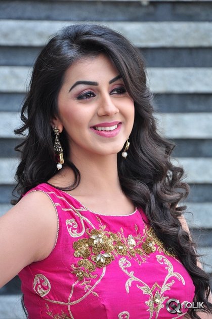 Nikki-Galrani-at-Krishnashtami-Movie-Platinum-Disc-Function